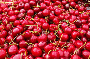 Harvested Cherries Wallpaper