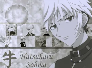 Hatsuharu Sohma Collage Wallpaper