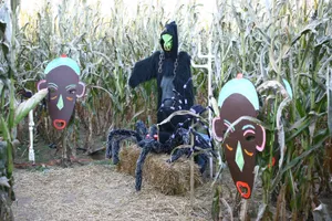 Haunted Corn Maze Decorations Wallpaper