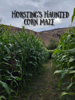 Haunted Corn Maze Entrance Wallpaper