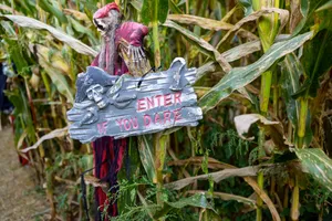Haunted Corn Maze Entrance Sign Wallpaper