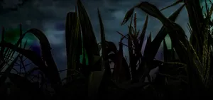 Haunted Corn Maze Nighttime Scene Wallpaper