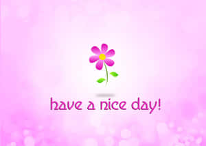 Have A Nice Day Floral Greeting Wallpaper