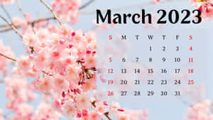 Have A Snapshot Of Your Upcoming Plans In March 2023 With This Colorful Calendar. Wallpaper