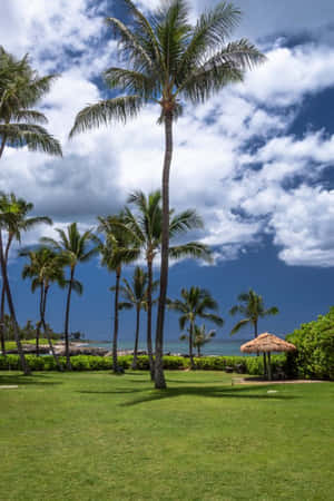 Hawaii Resort Iphone Wallpaper