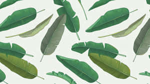 Hawaiian Banana Leaf Pattern Wallpaper