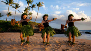 Hawaiian Hula Dance Performance Wallpaper