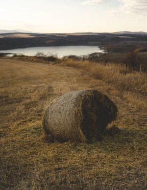 Hay Bale On Hungary Farmland Wallpaper