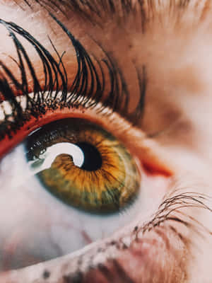 Hazel Eye Macro Photography Wallpaper