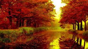 Hd Autumn River Wallpaper