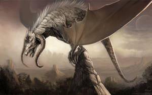 Hd Dragon Brown Dragon Wallpaper