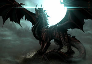 Hd Dragon Cool Black Wallpaper