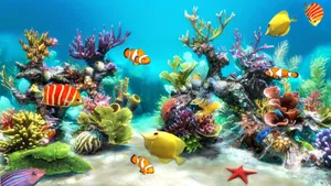 Hd Fishes In Colorful Corals Wallpaper