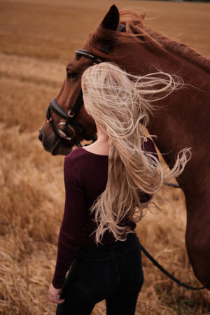 Hd Girl And Brown Horse Wallpaper