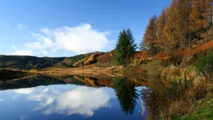 Hd Landscape Trees And A Calm Lake Wallpaper