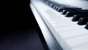 Hd Piano Keyboard Grayscale Wallpaper