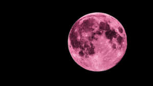 Hd Pink Moon Night Sky Wallpaper