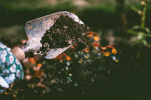 Heap Of Rich Compost Against Green Backdrop Wallpaper