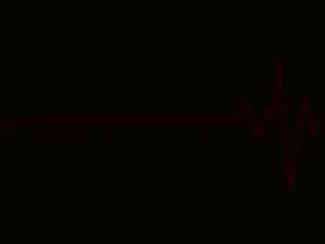 Heart Rate Pulsation On Monitor Screen Wallpaper