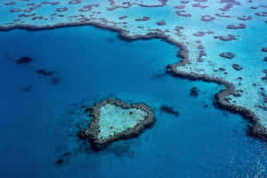 Heart Reef Great Barrier Reef Aerial View Wallpaper