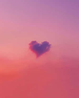 Heart-shaped Branches In Sunlight Wallpaper