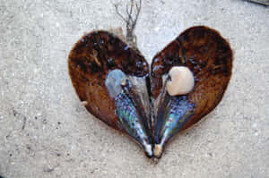 Heart Shaped Pen Shell On Sand.jpg Wallpaper