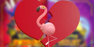 Heartbroken Flamigo Soothing Its Sorrow Wallpaper