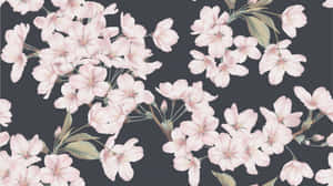 Heaven On Earth - A Stunning Sunrise Wallpaper