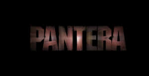 Heavy Metal Band Pantera Rocking The Stage Wallpaper