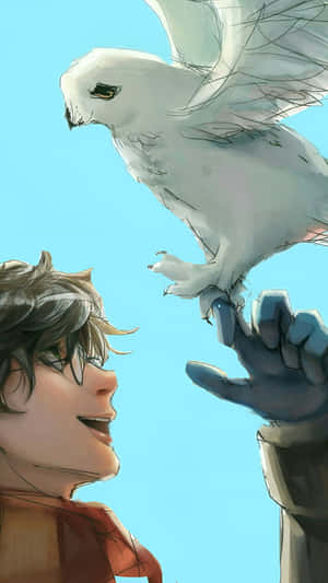 Hedwig And Harry Potter Wallpaper