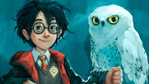 Hedwig And Harry Potter Wallpaper