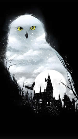 Hedwig The Magical Owl Wallpaper