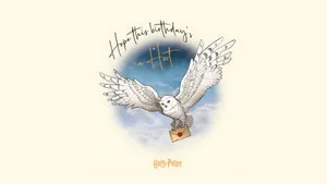 Hedwig The Owl Flying Wallpaper