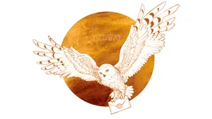 Hedwig The Owl Illustration Wallpaper