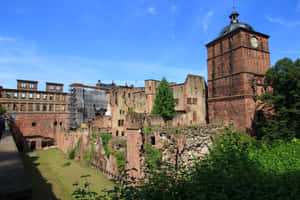 Heidelberg Castle Garden Wallpaper