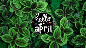 Hello April Green Leaves Backdrop Wallpaper