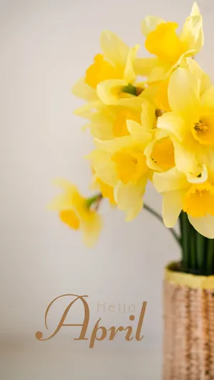 Hello April Yellow Daffodils Wallpaper