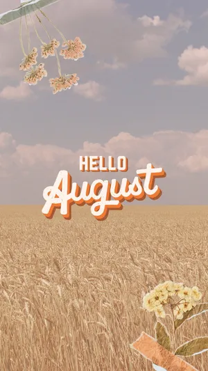 Hello August Wheat Field Aesthetic Wallpaper