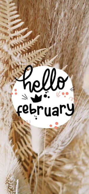 Hello February Aesthetic Background Wallpaper