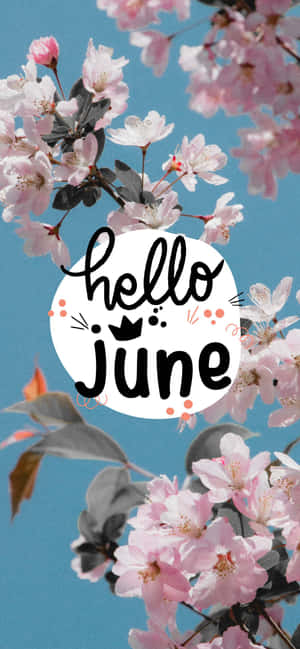 Hello June - A Pink Flower With The Words Hello June Wallpaper