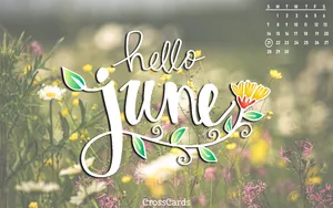 Hello June Calendar Wallpaper Wallpaper