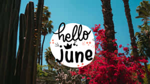 Hello June Tropical Backdrop Wallpaper