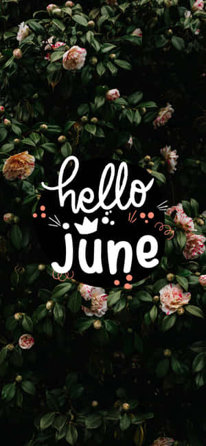 Hello June Wallpaper Wallpaper