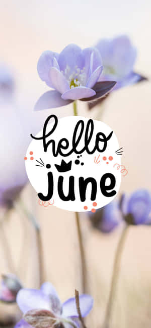 Hello June Wallpapers Wallpaper