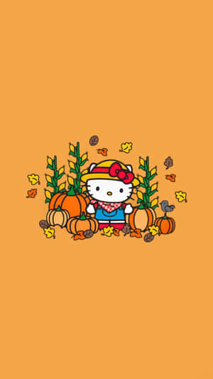 Hello Kitty Autumn Pumpkins Wallpaper Wallpaper