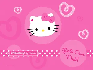 Hello Kitty Has Her Own Unique Style Wallpaper