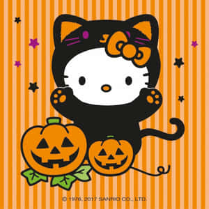 Hello Kitty Orange Halloween Sanrio Pfp Wallpaper
