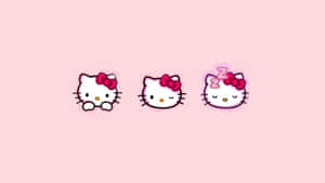 Hello Kitty Trio Pink Background Wallpaper