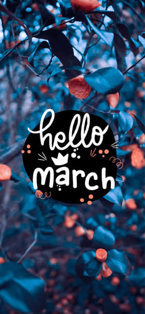 Hello March Aesthetic Wallpaper Wallpaper