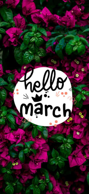 Hello March Bougainvillea Bush With Flowers Wallpaper